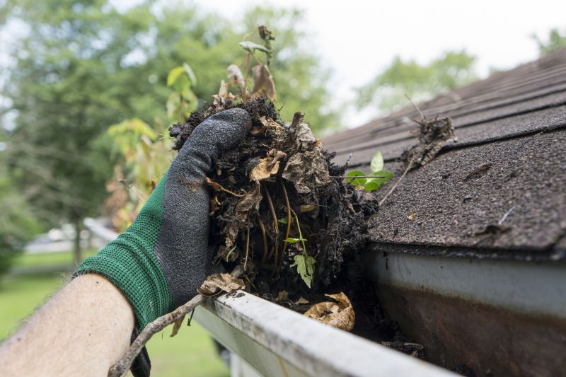Clogged Gutter Hazards