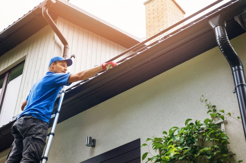 Gutter Maintenance Check