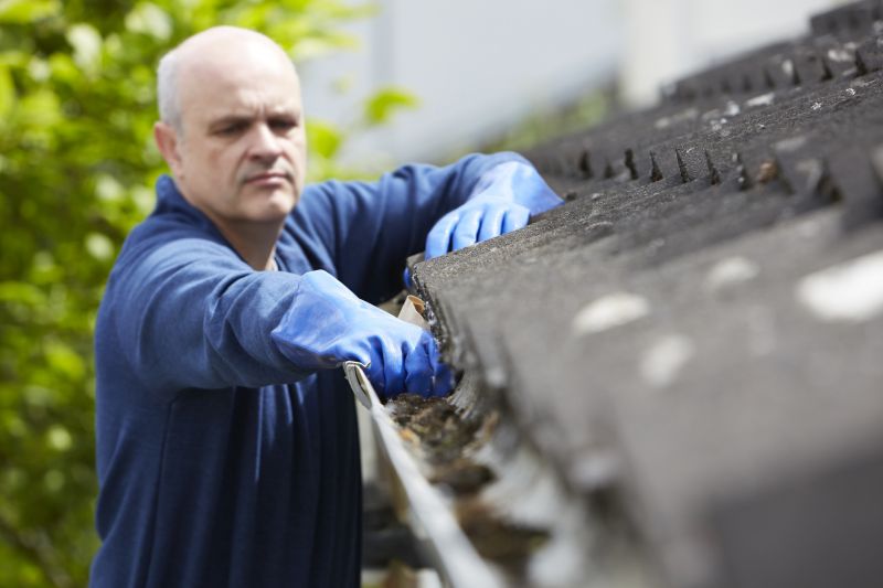 Clean and Clear Gutters