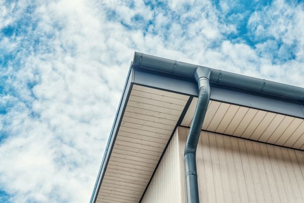Gutter Fascia Repair in Davidson
